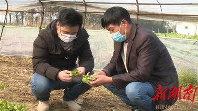 ������ء��r(n��ng)�I(y��)���a(ch��n)�ɲ��`