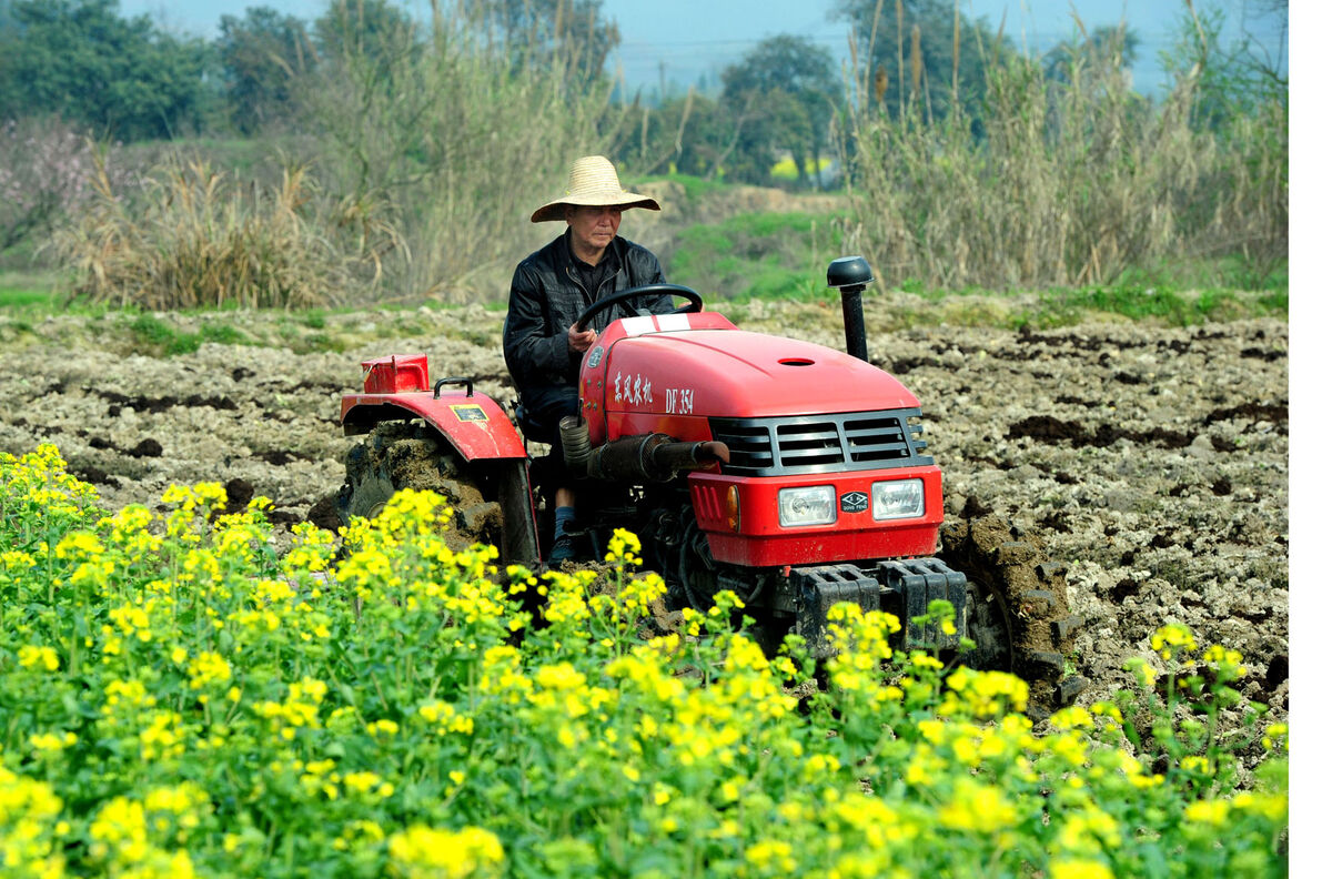 �����ǰ�A(y��)���r(n��ng)�I(y��)���a(ch��n)���(xi��ng)�Y��18.2�| ������e2400�f������