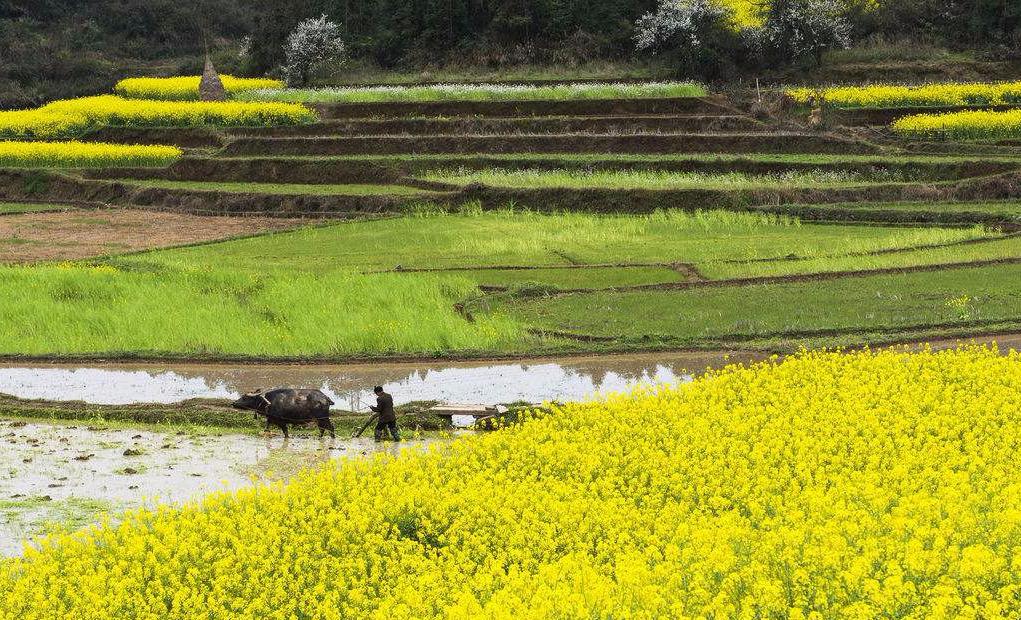 ˮ�������������֮�H���Ϲ����ˮ����