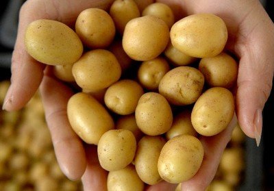 ���Cʡ����ȫ�����F�����R���Ó���N����������