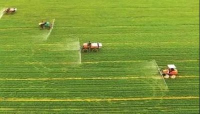 �r�I�r�岿�������Zʳ��e�s9�|�� ���Fȫ��ZʳĿ��������