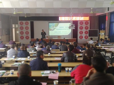 ���ʜp����Ӗ(x��n)