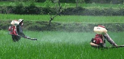 ����ʡ�rˎ����ʹ�����B�m�����½�