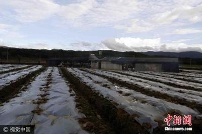 �����F·���\����֧��ȫ�������r�I���a