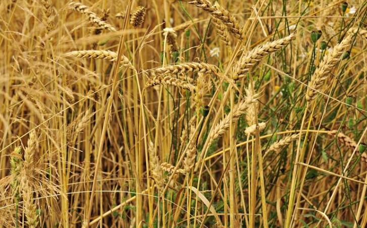 �����r��͘I��������ʡҎģ�����r�Y��Iȫ���_�͹�