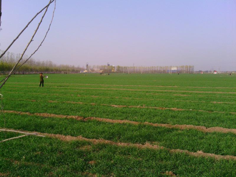 �|�������÷ʞ�β��p������