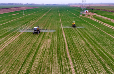 �������������ƼZʳ���ڣ��҂��ġ��״��ӡ���Ӱ푆�