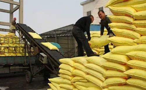 �A(y��)���������M(j��n)�������p���������֪��������������ӣ�