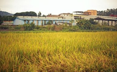 ������ʡ�r�I�r��d�ӿ�ȫʡ�ߘ˜��r�ｨ�O