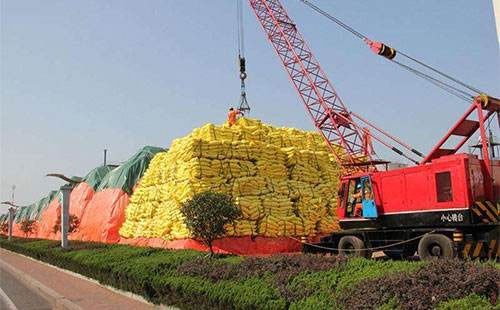 2020���҇������M�����΄��M�з���������