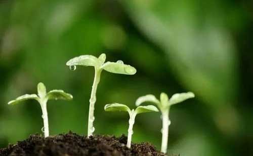 �˴�������h�m���{��⛷ʇ����������P��ʩ�����_��YԴ���a����