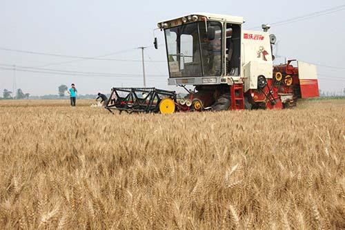 ɽ�|��180�f�_�r�C������ġ� 6����ѮС������e�ո�