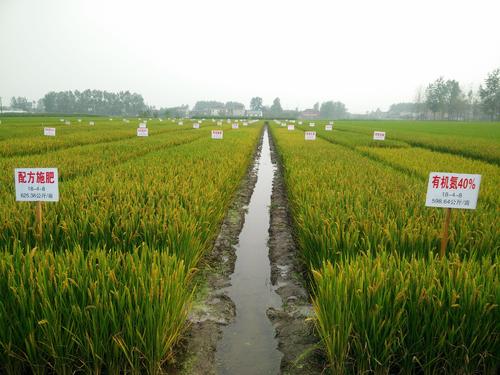 �����ϲ��Ѕ���ȫʡˮ����(c��)��ʩ�ʼ��g(sh��)ʾ���F(xi��n)��(ch��ng)�^Ħ��(hu��)