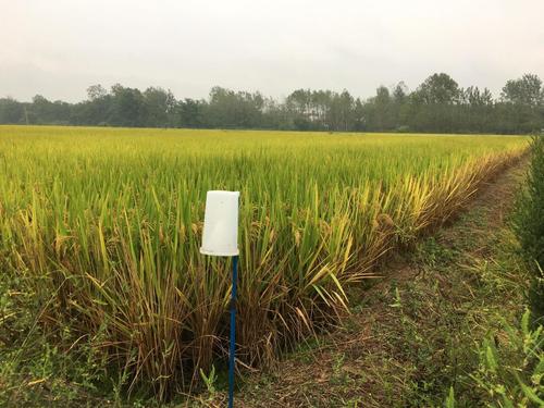 С����ُ��Ό��F�����Z���r��