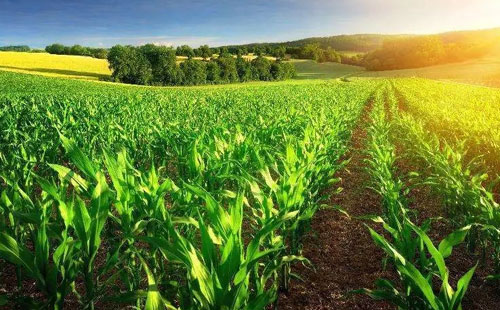 ��һ��(g��)���� ���׏�(f��)���ИI(y��)����ô�ߣ�