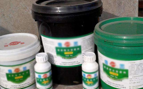 ��(gu��)��(n��i)���������Ŀǰ���ڵĆ��}�c�l(f��)չǰ��