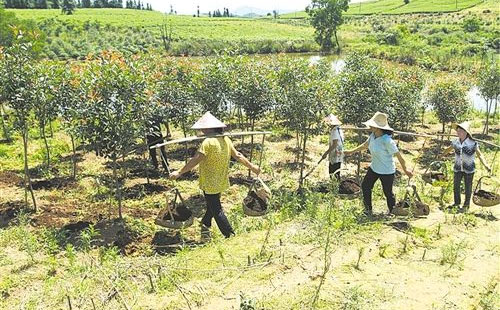 �״��{�����ЙC����������Є�ԇ�c����U��