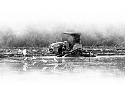 �ؑc��ί�r(n��ng)�I(y��)�r(n��ng)�幤ίί�TԬ��һ���W���{(di��o)�л����r(n��ng)ˎ�p����Ч����