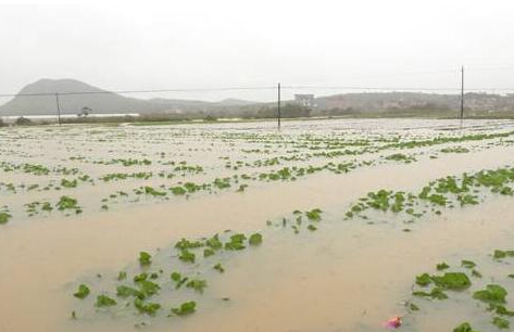 �r(n��ng)�I(y��)�r(n��ng)�岿�Mһ�����Ų����r(n��ng)�I(y��)��Ѵ���ľȞĜp�Ĺ���