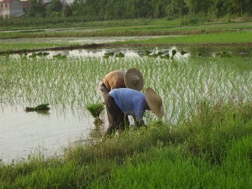 ���D��݆�������N��ˮ�� ���϶෨�������������