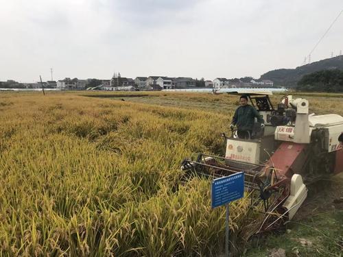 �����˴������_���ʜp����Ч������ˮ������ʩ�ʬF���^Ħ��