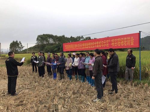 ���|(zh��)�����M(j��n)�����r(n��ng)ˎ�p����Ч�����������B(t��i)���h���ЙC(j��)����(qi��ng)�h����(zh��n)�Ԍ�(sh��)ʩ