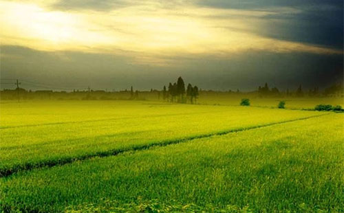 δ��7��������ό����l���L��