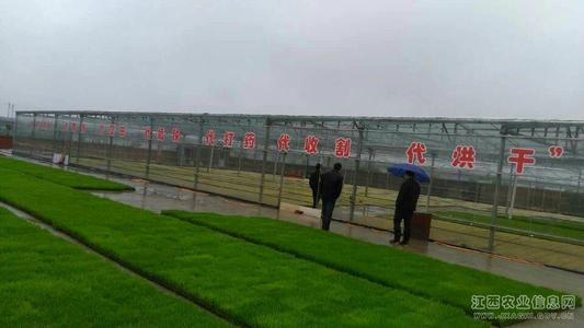 ������������ˮ�^�e�O�ƏV�䷽ʩ��������Ч