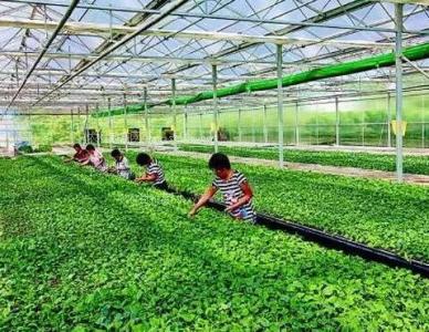 ����ʡ�r(n��ng)�I(y��)�r(n��ng)��d�P(gu��n)��ӡ�l(f��)2020����˲��ЙC���������ԇ�c������ʩ�����ͻ��ʜp����Ч������ʩ������֪ͨ