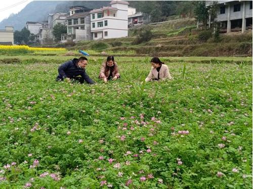 ���������ݷe�O���M����ʹ��ؓ���L