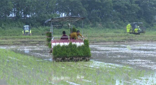 �����A���{���ӿ�ĺ����a�֏� ȫ��Zȡ��Z�S��