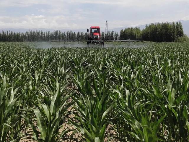 �ؑc�fʢ��(j��ng)�_�^(q��)���_ȫ�^(q��)Ҏ(gu��)ģ�Nֲ�������r(n��ng)ˎ�p��ʹ�ü��g(sh��)��Ӗ��