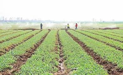 �O�������rˎ�pʩ��Ч���g�����о��cʾ���Ŀʾ���F���^Ħ���ڸ��C��ˮ���_