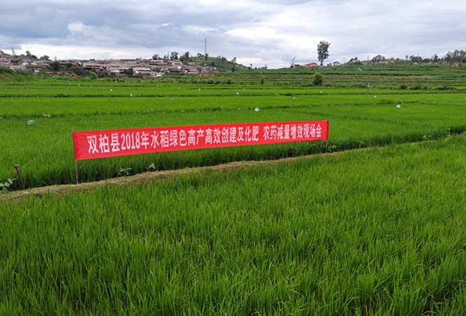 ����15���h���С��^���{�뻯�ʜp����Чԇ�c