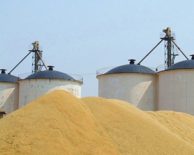 �Ї��Z���Lʲô�����Zʳ���Ӄ�����̽�L������Z�}��