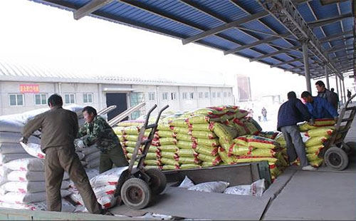 ���l��2020�껯�ʜp����Ч������