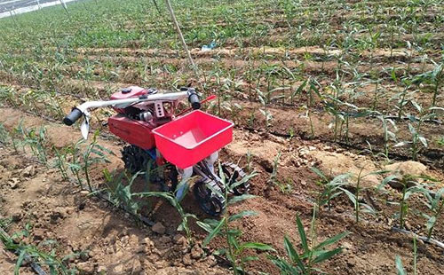 �r(n��ng)�I(y��)�r(n��ng)�岿�P(gu��n)���䌍���h���롢����(w��)Ժ2021���r(n��ng)�I(y��)�r(n��ng)�����c��������Č�ʩ��Ҋ