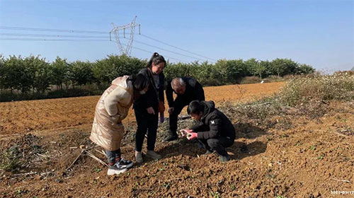 �Nֲ�����˺ϸ񻯷ʺ�pʧ��(sh��)ʮ�f���r(n��ng)�Y�꣺�ԛQ���r