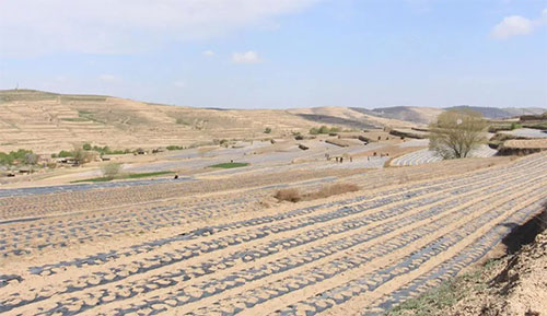 �Zʳ�ļZʳ�����ۣ���ȫ��o���ʡ������h