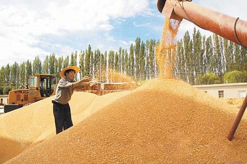 ����ץ����ǰ�\���ļZ��ُ(g��u)��(zh��n)��