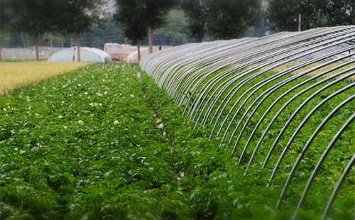 �aֵ���_3600�|���ЙC�ʮa�I�����󱬰l��δ���،��ʬF�@3��څ��