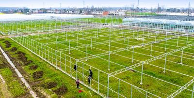 ���շʖ|��������ʞ鴺��ӆ�ƠI�B��