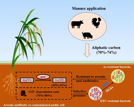 �о���ʾ�S��߀���������������-�ؽ��مfͬ�wڅ��Ӱ푙C��