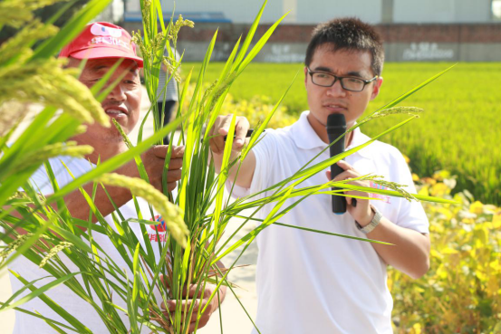 ���r���r��  �l��������(1)707.png