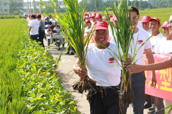 ���r���r��  �l��������(1)705.png