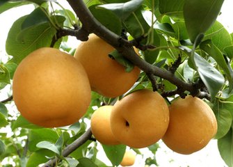 �ɿ������F�˸��������