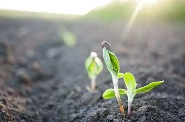 �N�ز����B�� �����������ø�ֲ��