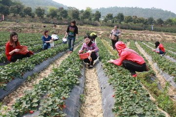 �вĶ�ԭ�����}��V�ʡ�������ݮ���m���a