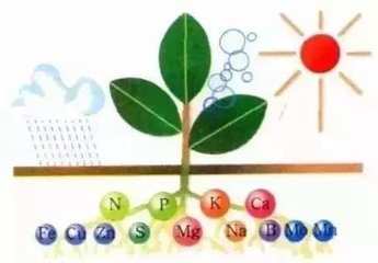 ���������B(y��ng)���V��(l��i)������Ч