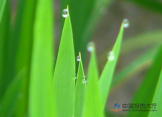 �����L֮�ǡ����ھ��r�Y�ИI������